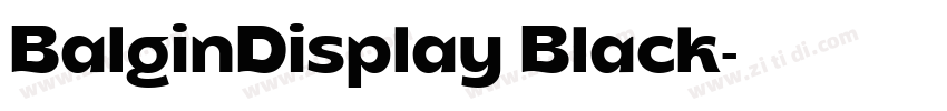 BalginDisplay Black字体转换
